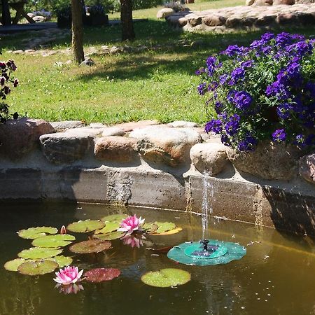 Traku Horizontai Hotell Trakai Exteriör bild